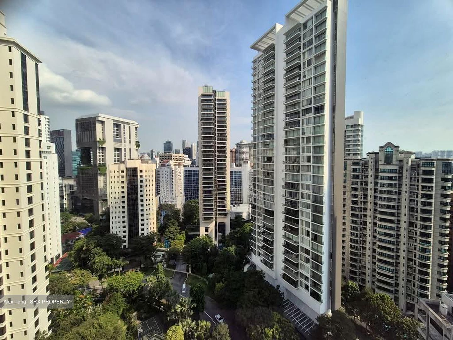 Ardmore Residence (D10), Condominium #560780991
